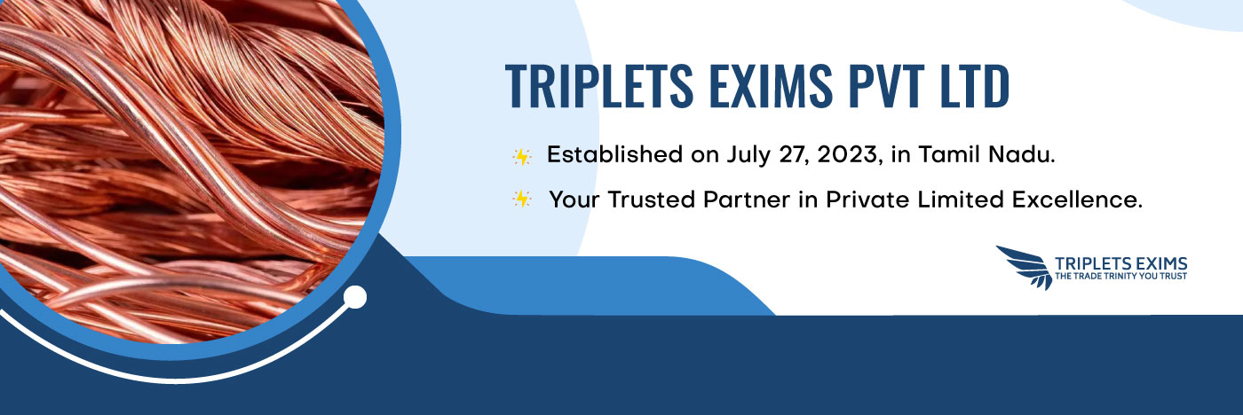 TRIPLETS EXIMS PVT LTD.