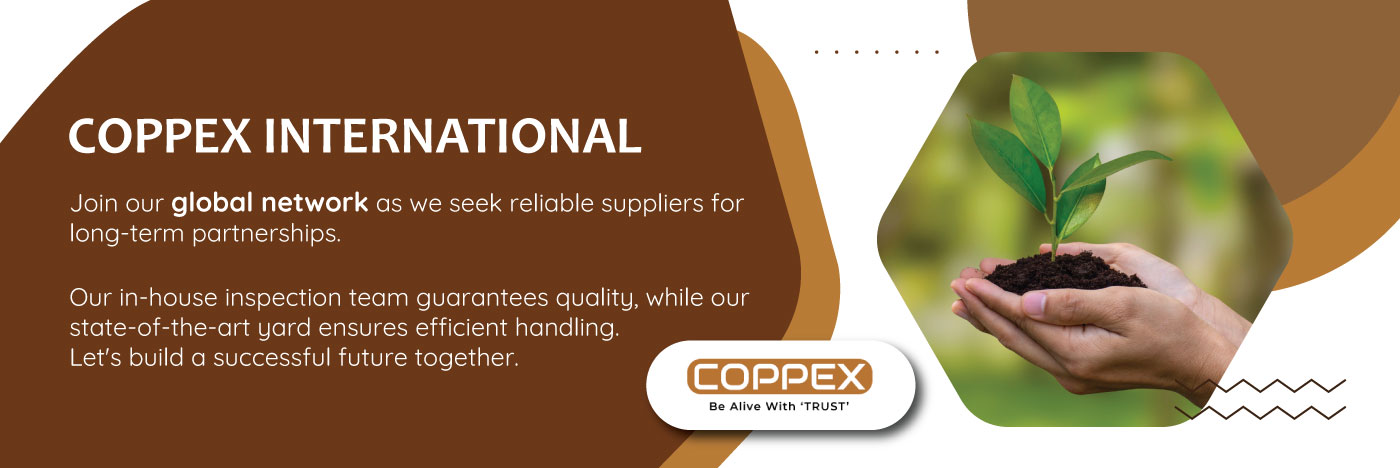 COPPEX INTERNATIONAL