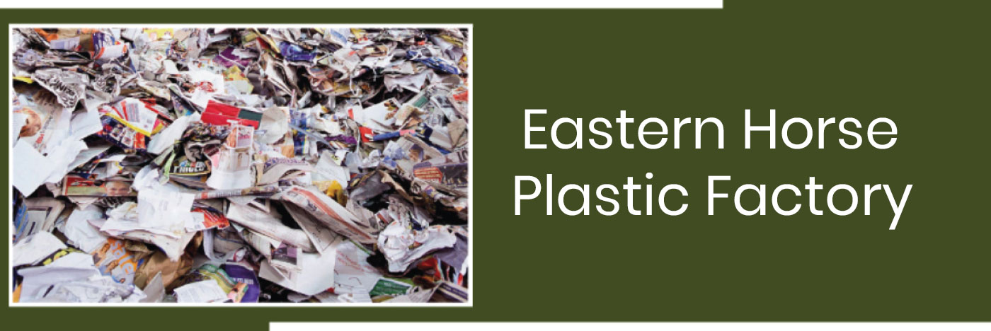 Eastern Horse Plastics Factory