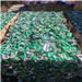 Supplying a Huge Quantity of Aluminum Can Scrap from Santo Domingo 