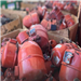 *Global Supply of Huge Amount of Compressor Scrap from Durban Seaport, South Africa