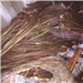 *200 Tons of 99.9% Purity Millberry Copper Wire Scrap Available for Sale per Month 